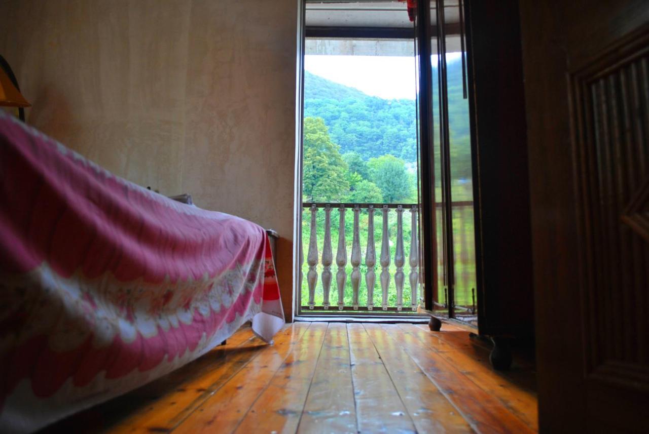 Discover Kinchkha Satsiskvilo Bilik gambar